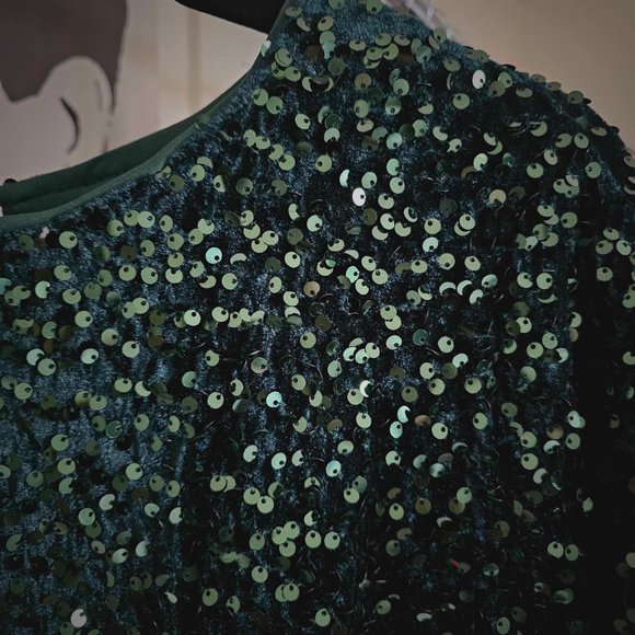 Velvet Sequin Short Sleeve Mini Dress - Picture 6 of 6